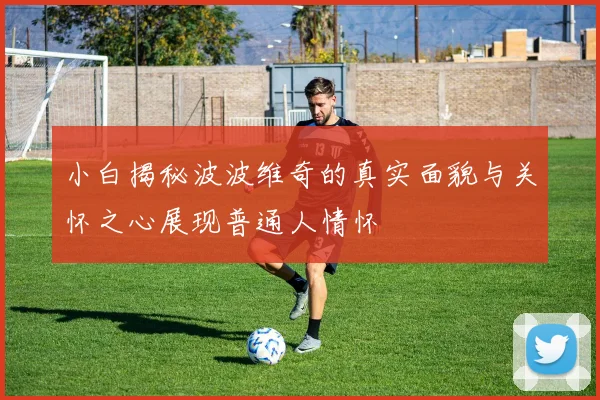 小白揭秘波波维奇的真实面貌与关怀之心展现普通人情怀
