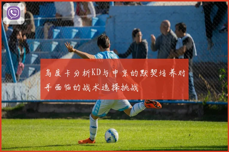 乌度卡分析KD与申京的默契培养对手面临的战术选择挑战